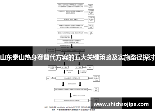 山东泰山热身赛替代方案的五大关键策略及实施路径探讨 山东泰山热身赛替代方案的五大关键策略及实施路径探讨