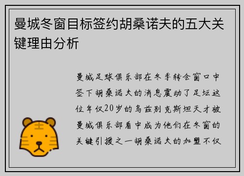 曼城冬窗目标签约胡桑诺夫的五大关键理由分析 曼城冬窗目标签约胡桑诺夫的五大关键理由分析